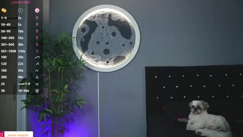 Jordan online show from 20, 4, 2026