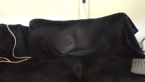 juanmamestre94 online show from 27, 2, 2026