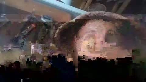 Carlos online show from 5, 1, 2025