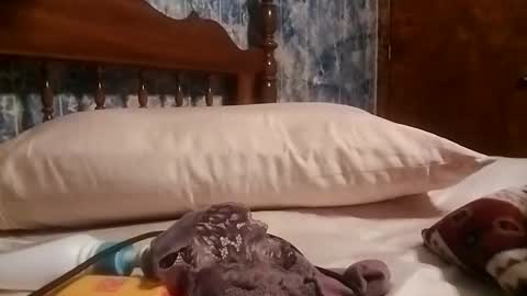 juicyj322 online show from 19, 1, 2025