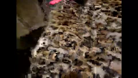 Snapshot of juicyslutx chatting on 30, 11, 2025 juicyslutx online show from 30, 11, 2025