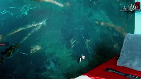    online show from 20, 2, 2026