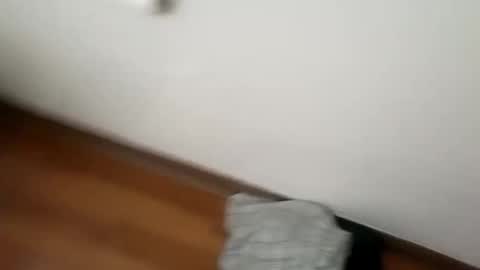 manolito online show from 1, 1, 2025