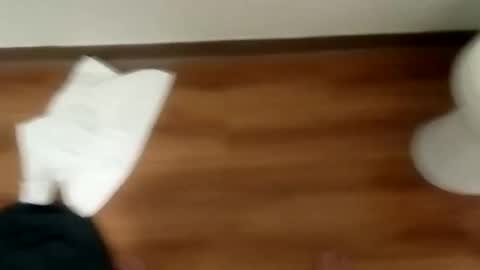 manolito online show from 19, 1, 2025