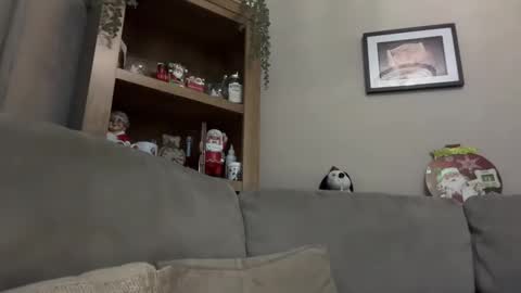 Snapshot of junky345 chatting on 13, 12, 2024 Junky online show from 13, 12, 2024