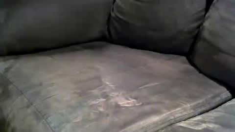 Snapshot of justadood2112 chatting on 7, 7, 2026 justadood2112 online show from 7, 7, 2026