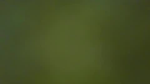 Snapshot of justbuff4 chatting on 23, 1, 2025 McKeefer online show from 23, 1, 2025