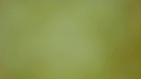 Snapshot of justbuff4 chatting on 13, 9, 2025 McKeefer online show from 13, 9, 2025