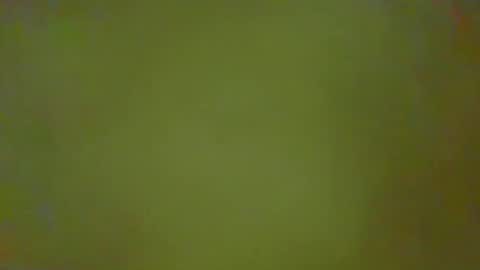 Snapshot of justbuff4 chatting on 25, 2, 2026 McKeefer online show from 25, 2, 2026