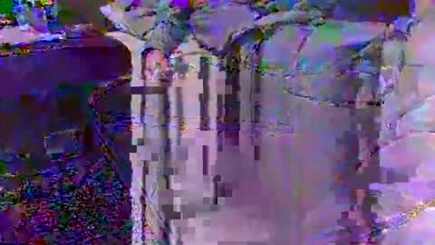 Snapshot of justinjodysarah957251 chatting on 25, 2, 2026 Techno Nymph online show from 25, 2, 2026