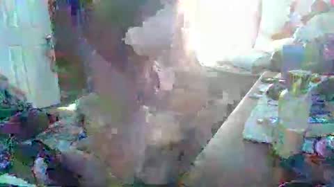 justintyme911128278 online show from 19, 3, 2026