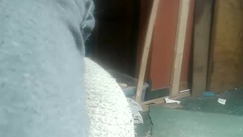 Snapshot of justme42c chatting on 11, 2, 2025 justme42c online show from 11, 2, 2025