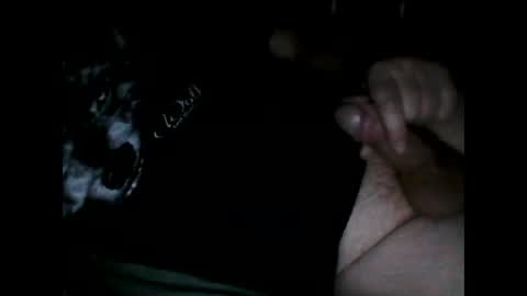 justpervfun online show from 8, 12, 2024