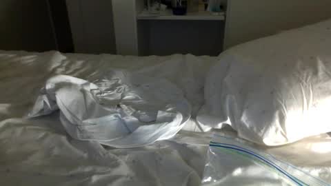 J and Sugar snap pea online show from 23, 1, 2025