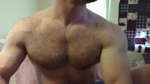 Wolf online show from 8, 3, 2025