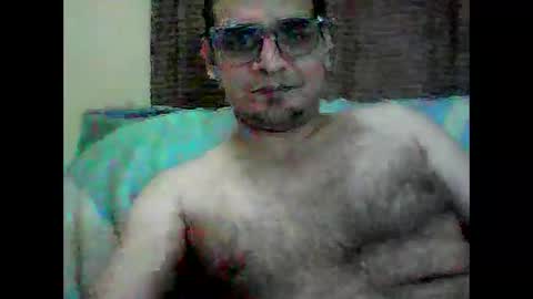 k9cat online show from 7, 3, 2026
