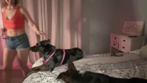 Kailee Smile online show from 12, 2, 2025