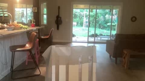 Kailee Smile online show from 1, 10, 2025