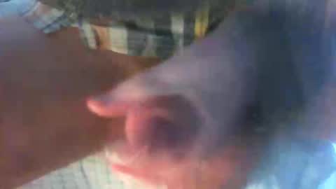 Snapshot of kamabo2 chatting on 7, 4, 2026 kamabo2 online show from 7, 4, 2026