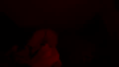 karmakazeee online show from 10, 5, 2026