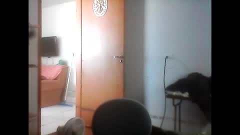 kasadocarente online show from 17, 1, 2026