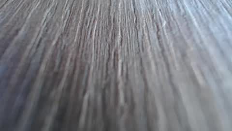 Katalleya online show from 15, 12, 2024