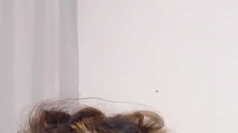 Help me with rate thanks  online show from 3, 12, 2024