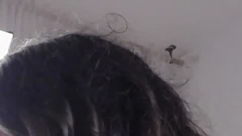 Help me with rate thanks  online show from 12, 12, 2024