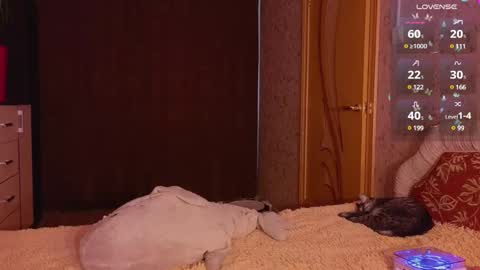 Kate online show from 29, 12, 2024