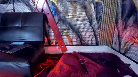 kati online show from 18, 6, 2026