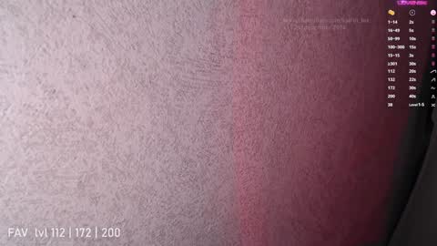 pvt open online show from 25, 12, 2024