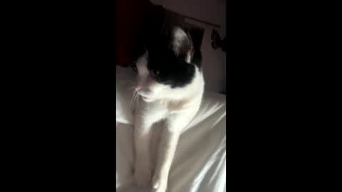 Snapshot of kay_la chatting on 4, 10, 2025 kay_la online show from 4, 10, 2025