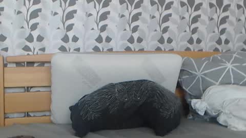 Snapshot of kelywild20 chatting on 25, 7, 2026 kelywild20 online show from 25, 7, 2026