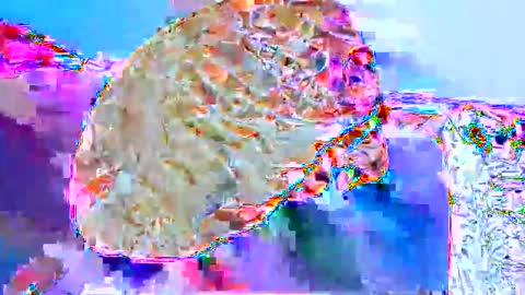 kem2000400282 online show from 4, 2, 2026