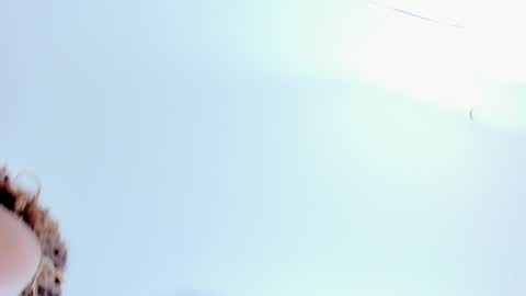 Kendal  online show from 9, 12, 2024