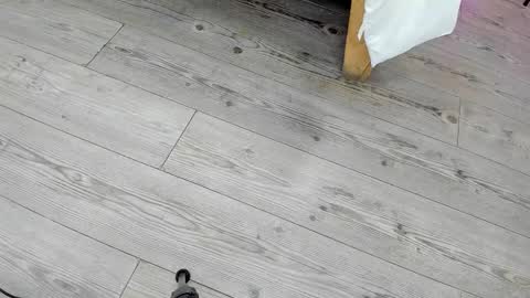 Kendra London online show from 24, 2, 2026