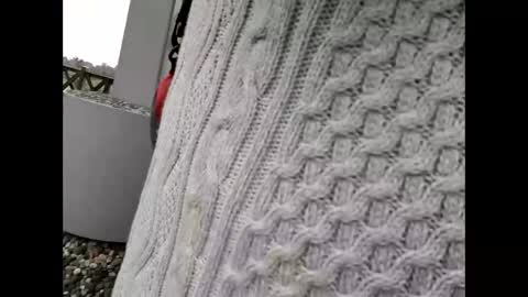 kenhiking online show from 19, 2, 2026