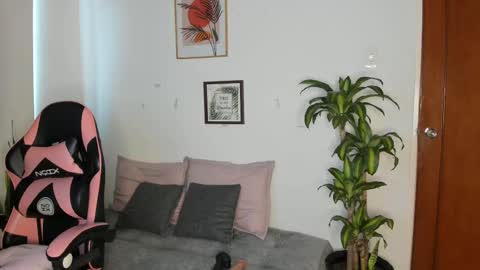  01  online show from 23, 11, 2025