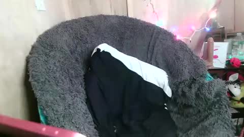 Kennedy Nova  online show from 26, 1, 2025