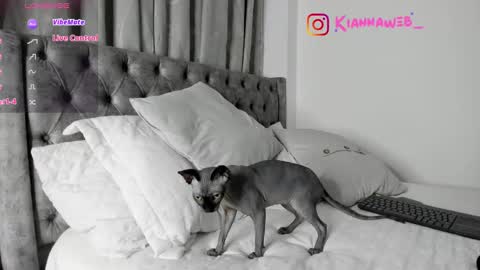 Snapshot of kiianna__ chatting on 28, 2, 2025 INSTAGRAM Kiannaweb online show from 28, 2, 2025