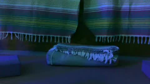 Kim online show from 13, 10, 2025