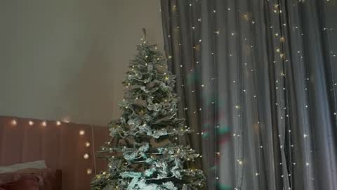 Kim Oberlin online show from 30, 12, 2024