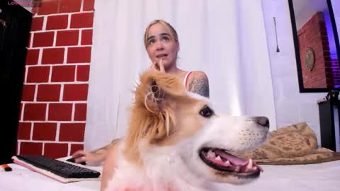 Kim  Yuk online show from 10, 11, 2025