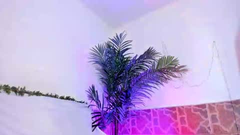 kimberly gonzalez online show from 3, 12, 2024