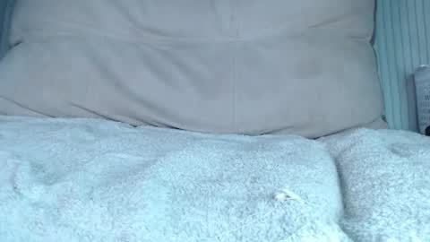 Snapshot of kimgrin chatting on 17, 6, 2026 Dominika online show from 17, 6, 2026