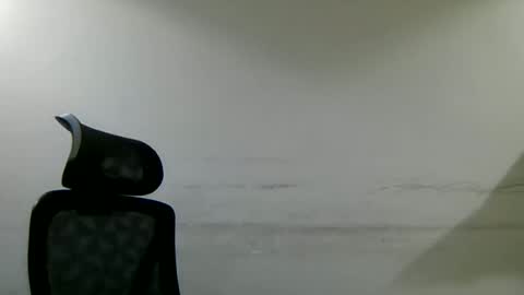 Snapshot of kind_man_bisho chatting on 20, 7, 2026 Bisho online show from 20, 7, 2026