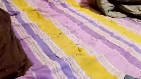 Snapshot of kingbat30 chatting on 2, 3, 2025 kingbat30 online show from 2, 3, 2025