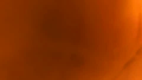 kinks4every1 online show from 7, 3, 2026