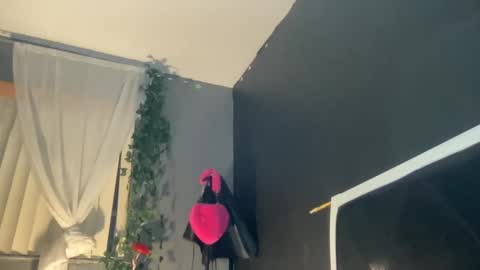 Bunniii online show from 2, 1, 2025