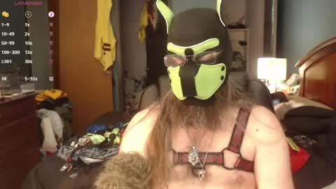 Snapshot of kinkywolf87 chatting on 22, 6, 2026 kinkywolf87 online show from 22, 6, 2026